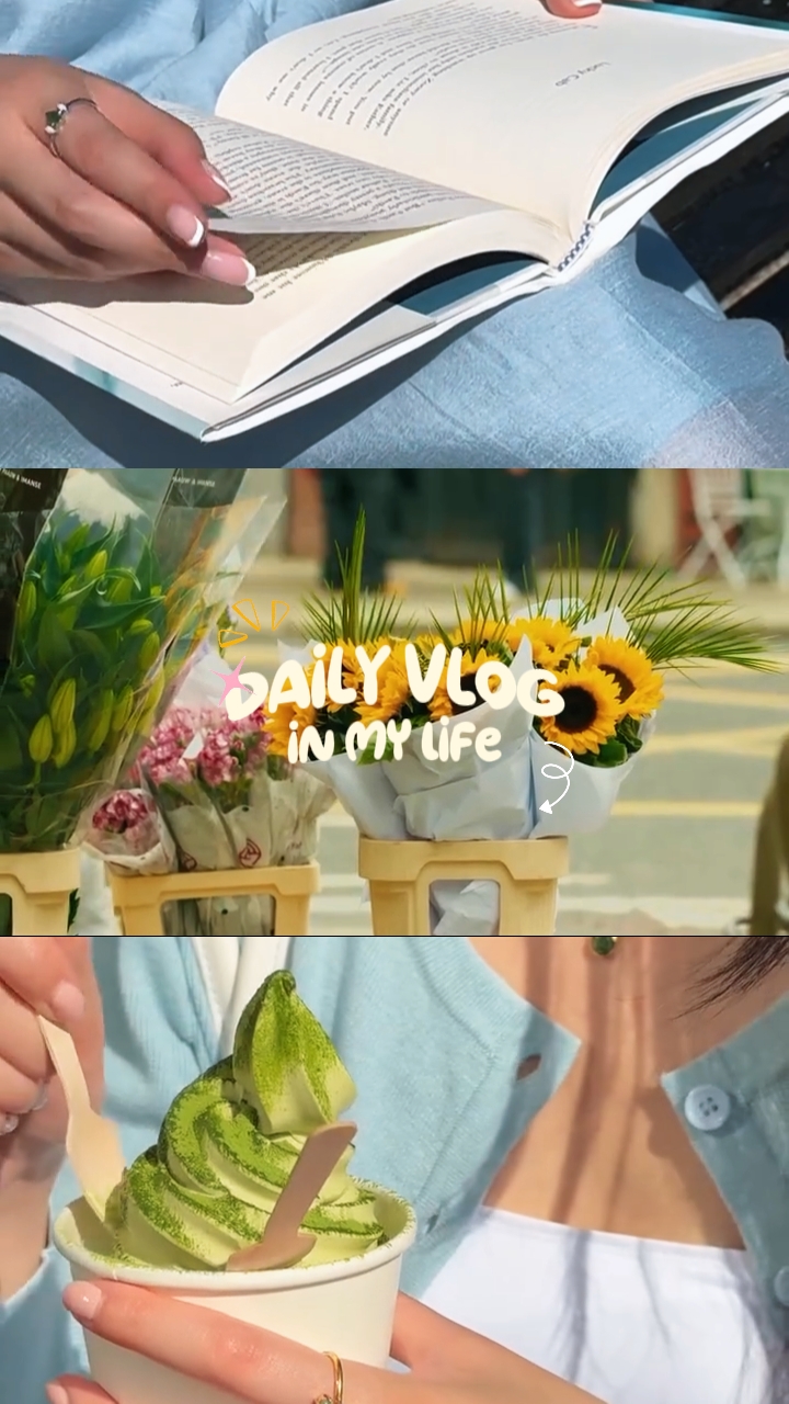 Pang-araw-araw na vlog 