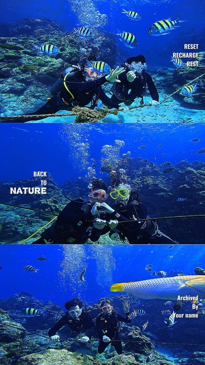 Cinematic diving
