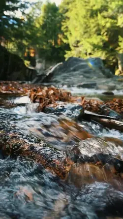 Cinematic | 6 video