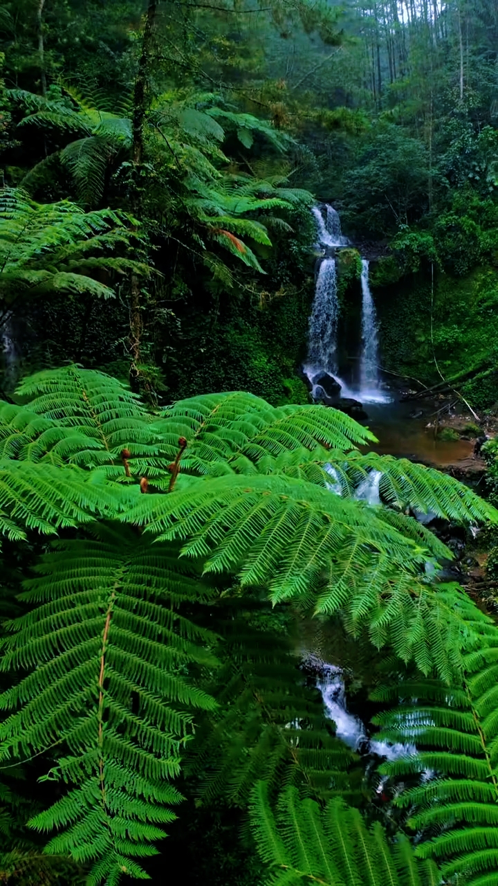 vibrations de la nature