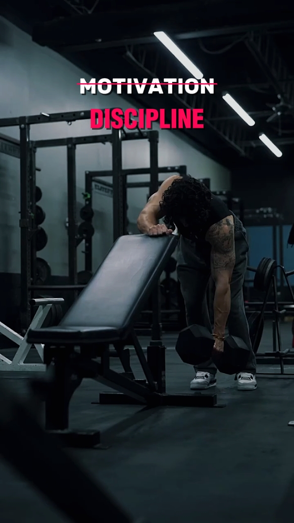 Disciplina 