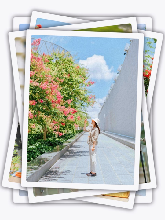 7Pic Frame Esthétique