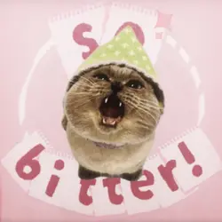 so bitter v2