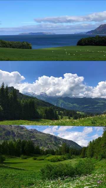 3 pics 