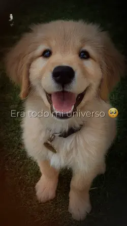 Era todo mi universo