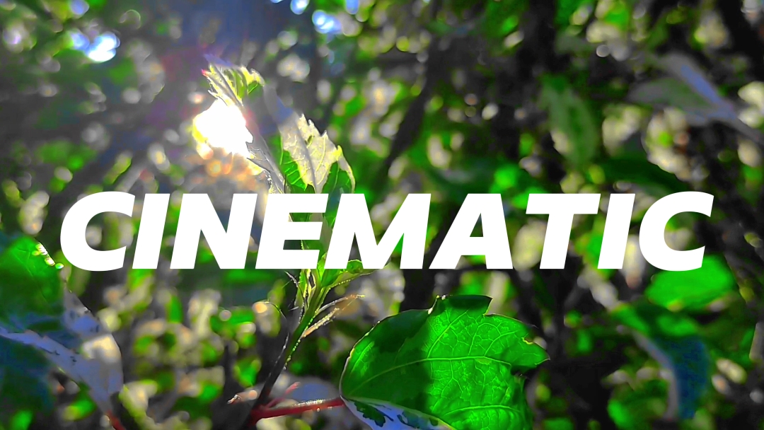 Aees Cinematic