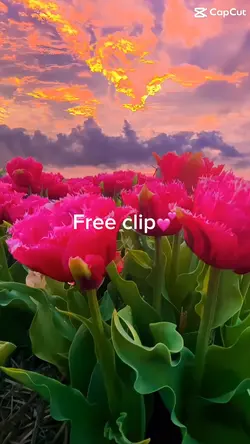 Free clip๐