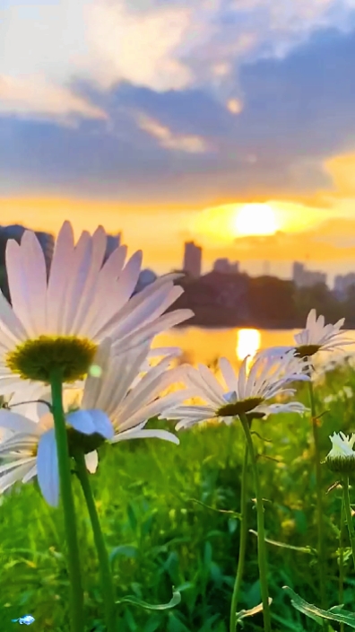 10 video fotoğrafı