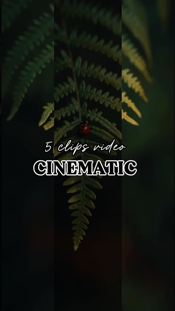 CINEMATIC 5 CLIPS 