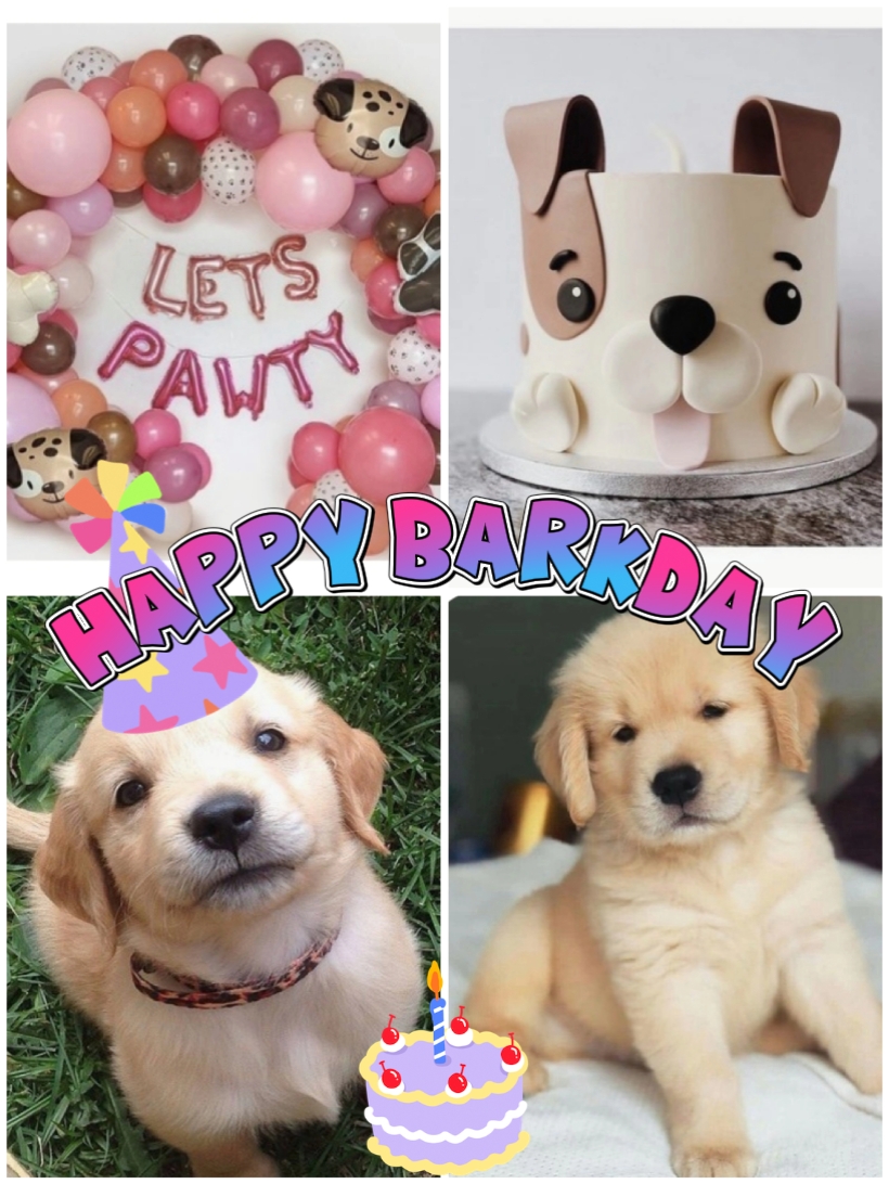 Felices Barkdays
