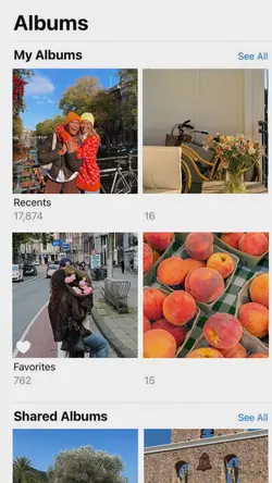 Album interface
