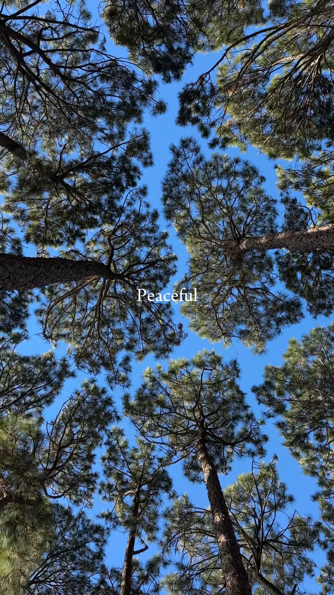 Damai