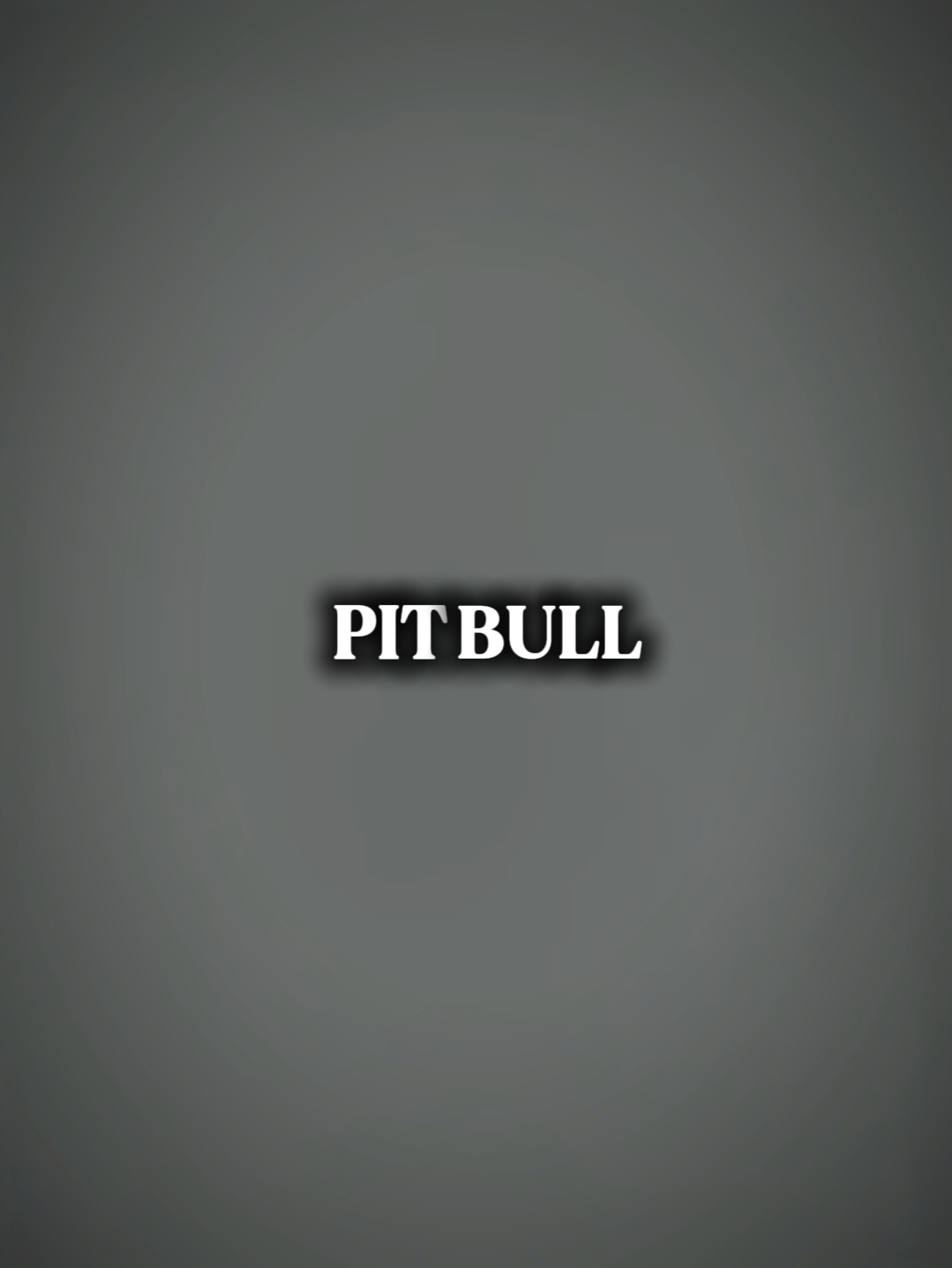 PITBULL