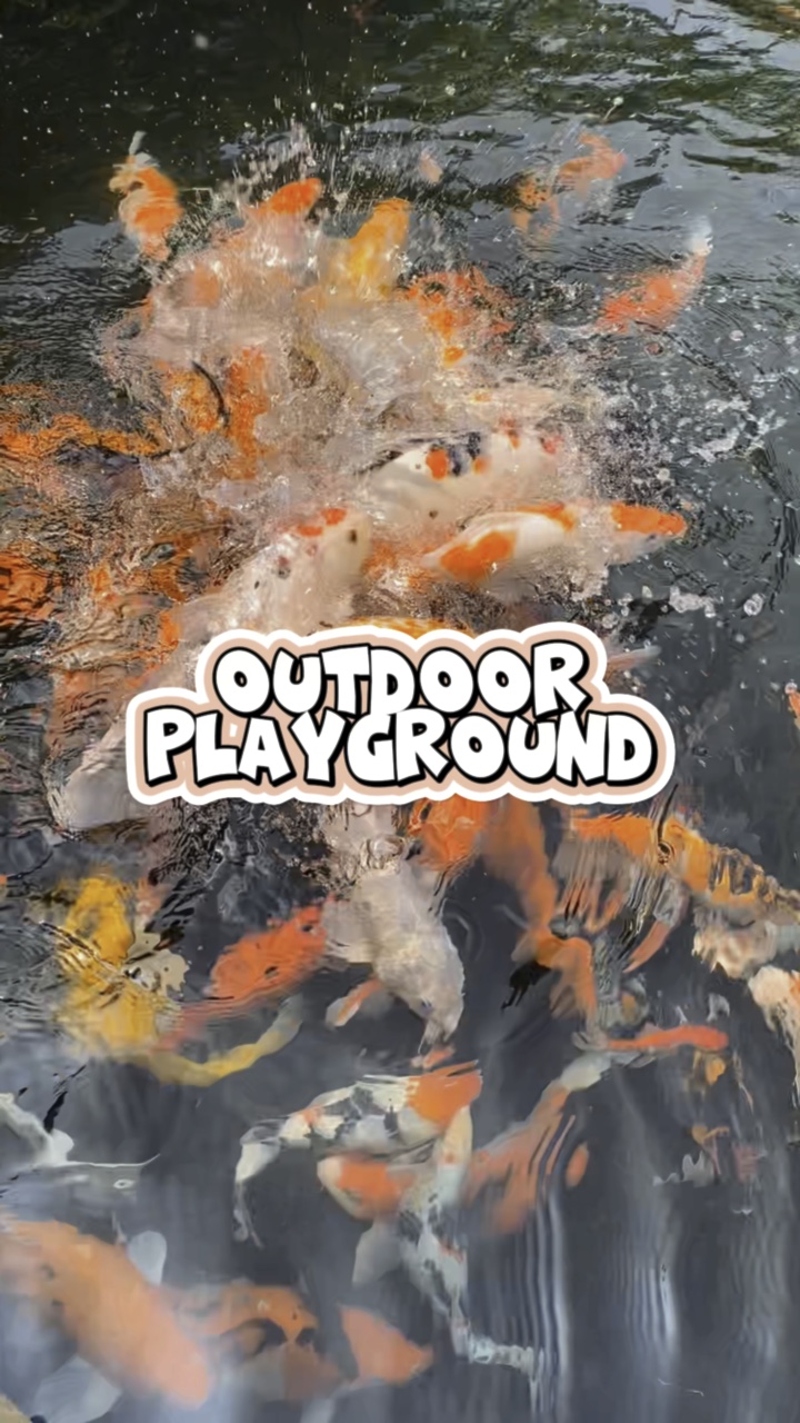 Playground ao ar livre