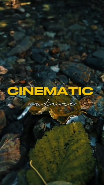 NATUREZA CINEMÁTICA