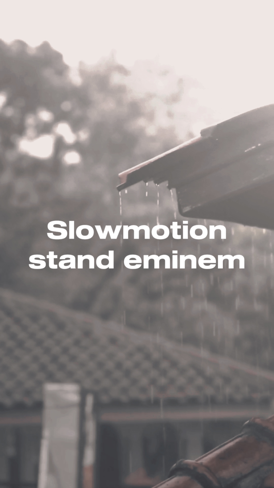 Slowmo debout Eminem