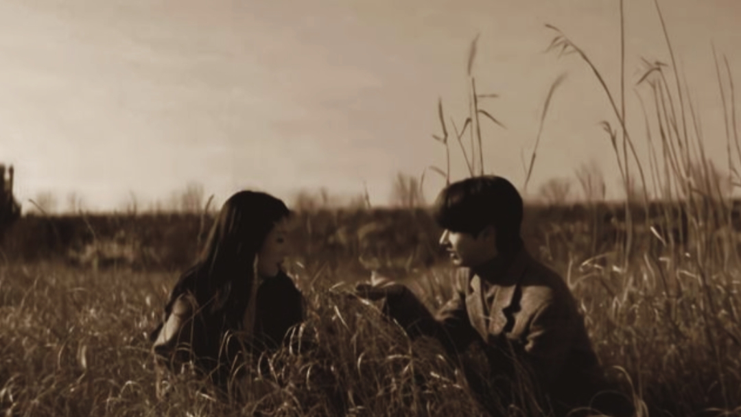 Dokumenter Film 