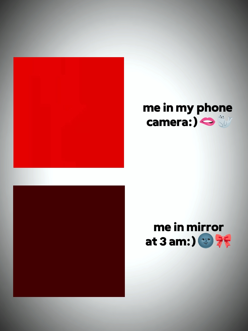 CAMERA VS MIRROR