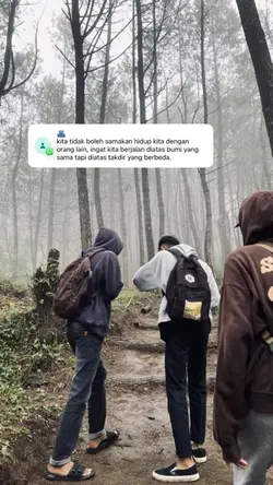 notif wa