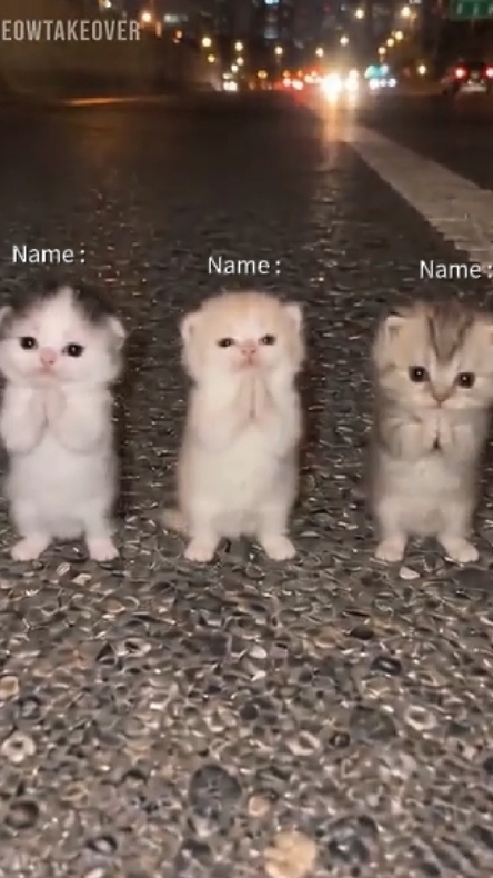 Write your names 