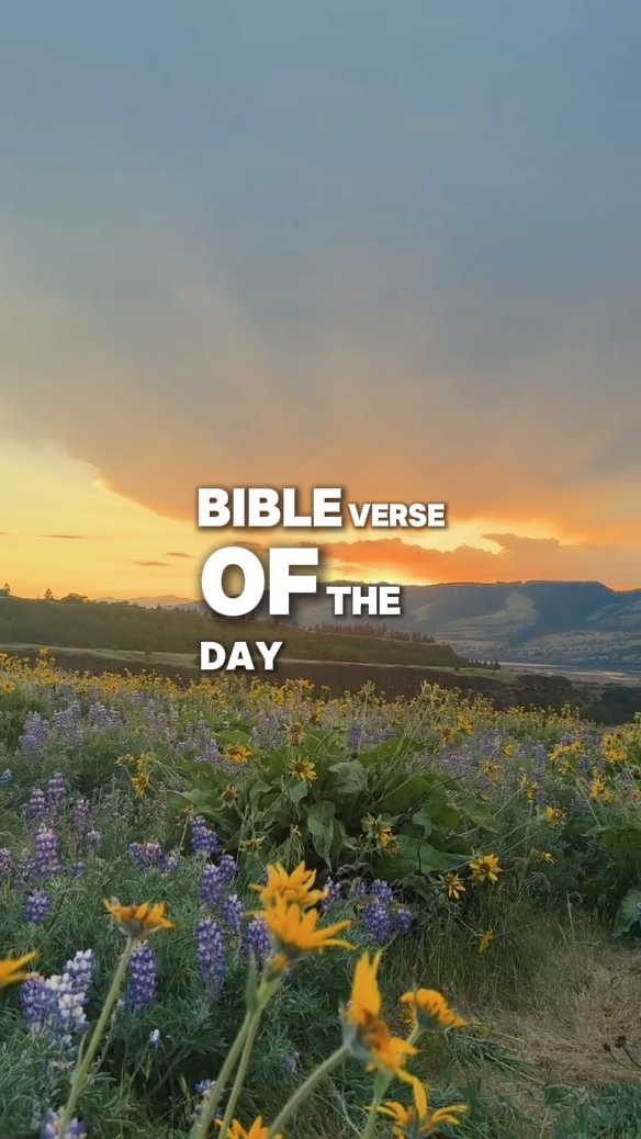 Bibleverse Hoje