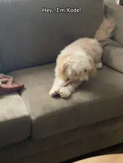 :P