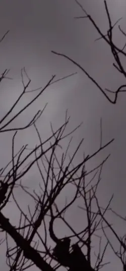 Nacht für Nacht