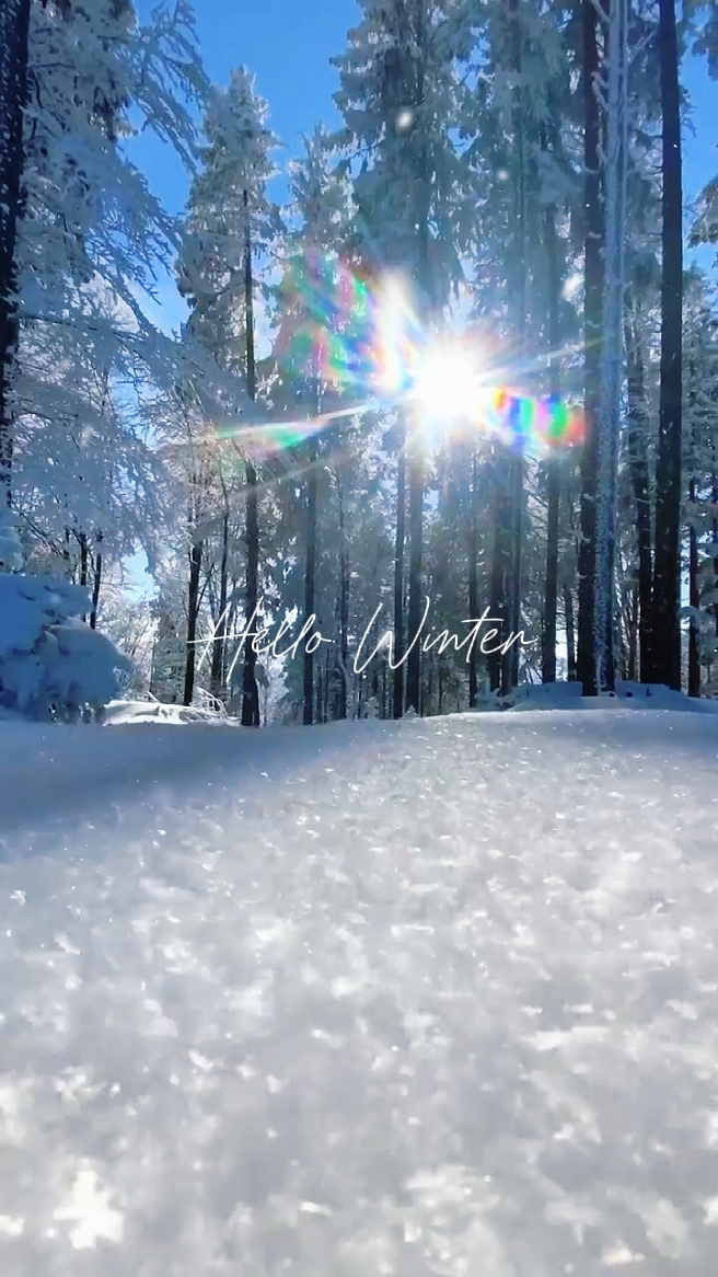 Hello winter