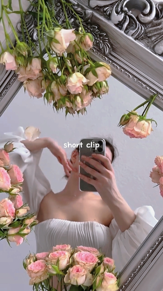 Clipe curto