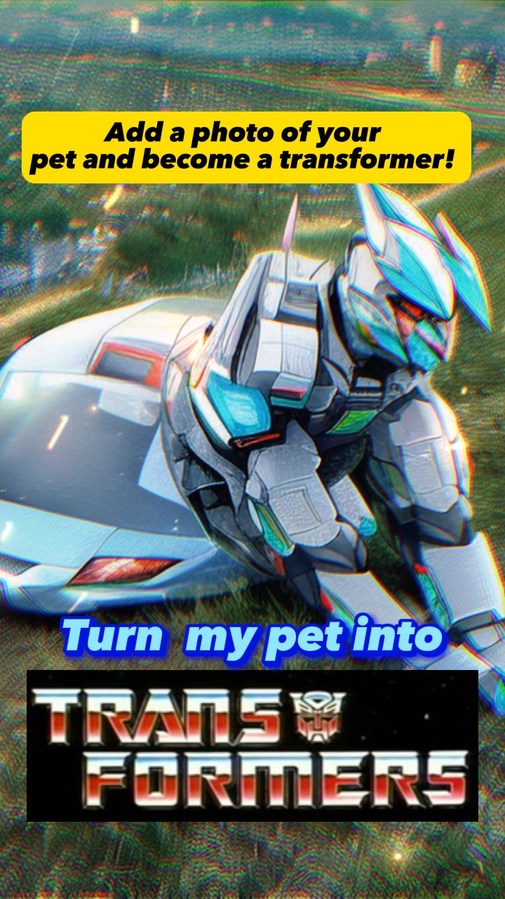 TRANSFORMERS PET AI 