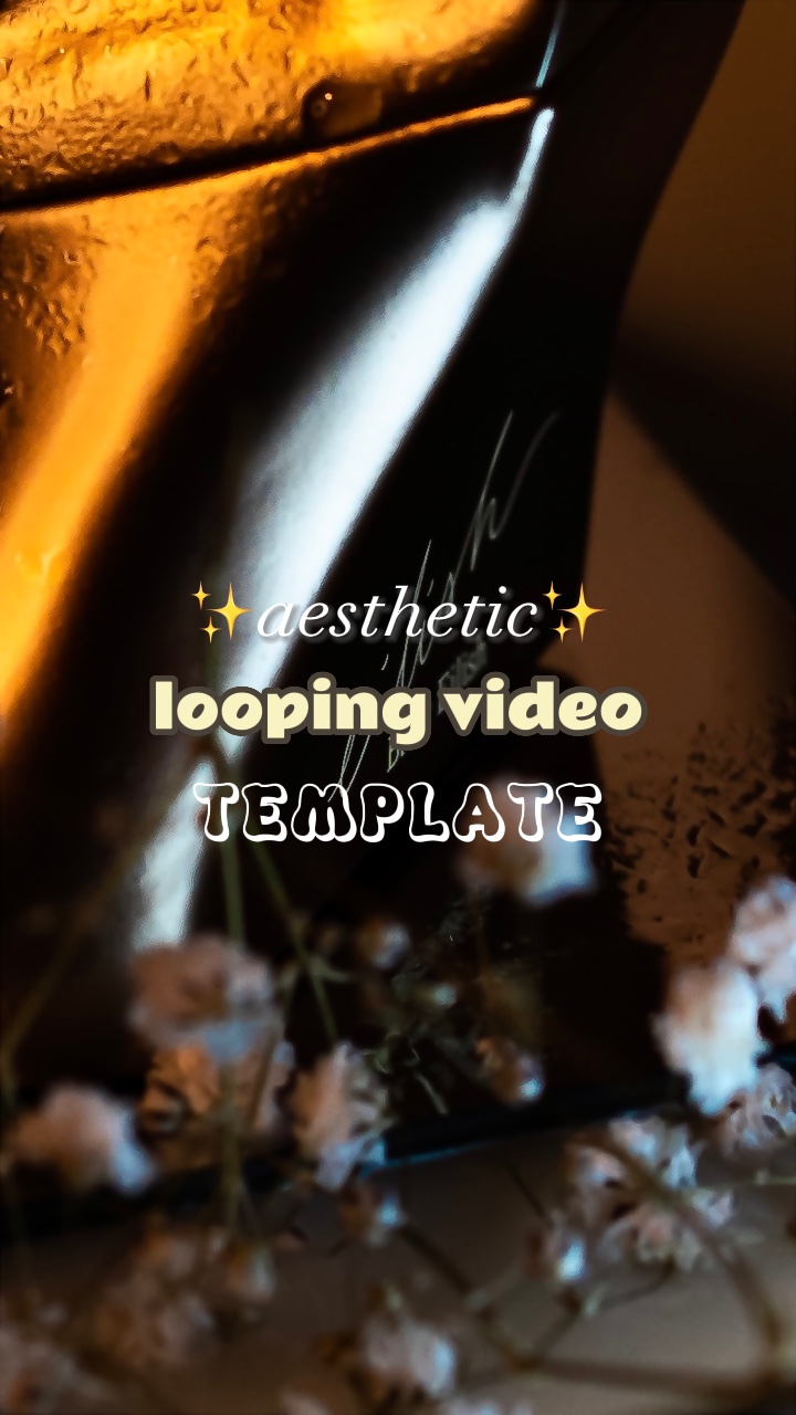 aesthetic loop video