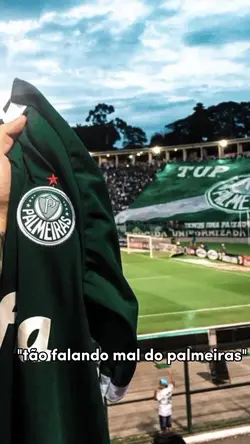palmeiras usem!