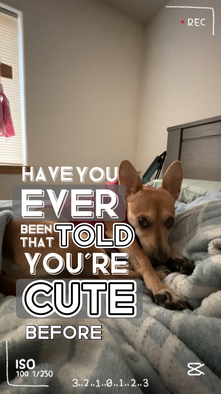Cute