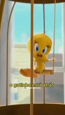 Acho q vi um gatinho