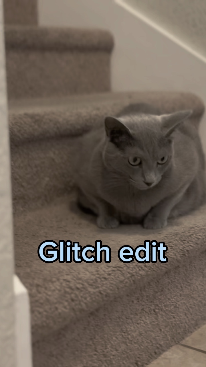 glitch edit
