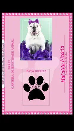 RG PET