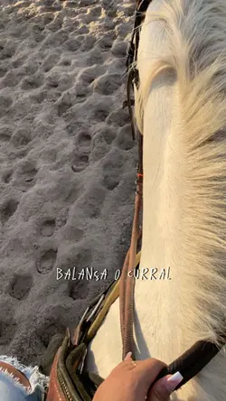 isso é vaqueijada 🐎