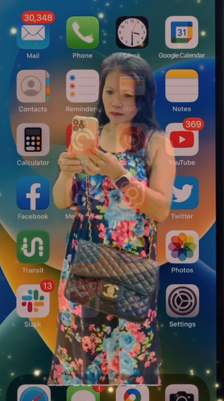 Vergs AppleProduct