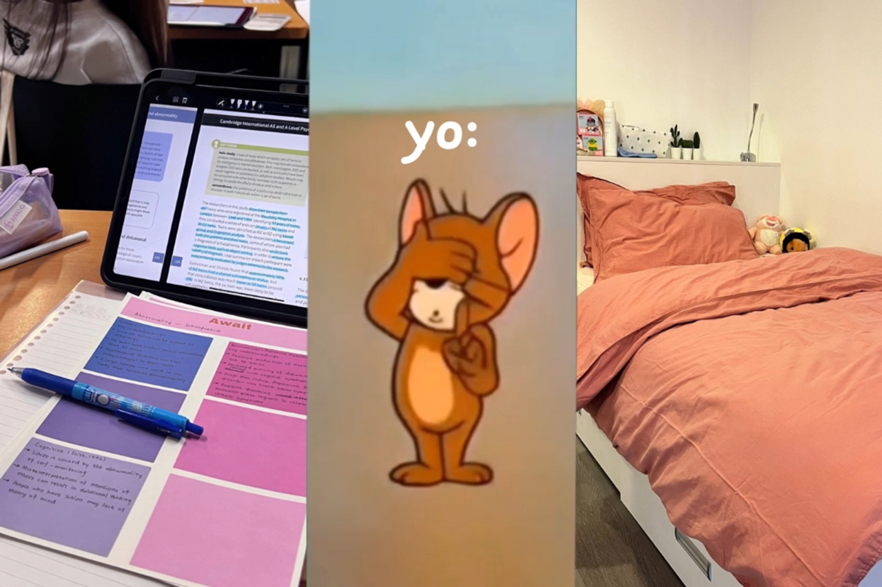 Cómo elegir