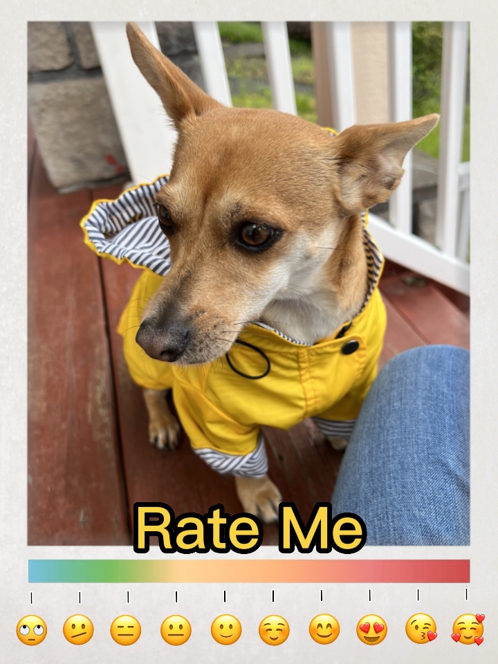 Rate Me