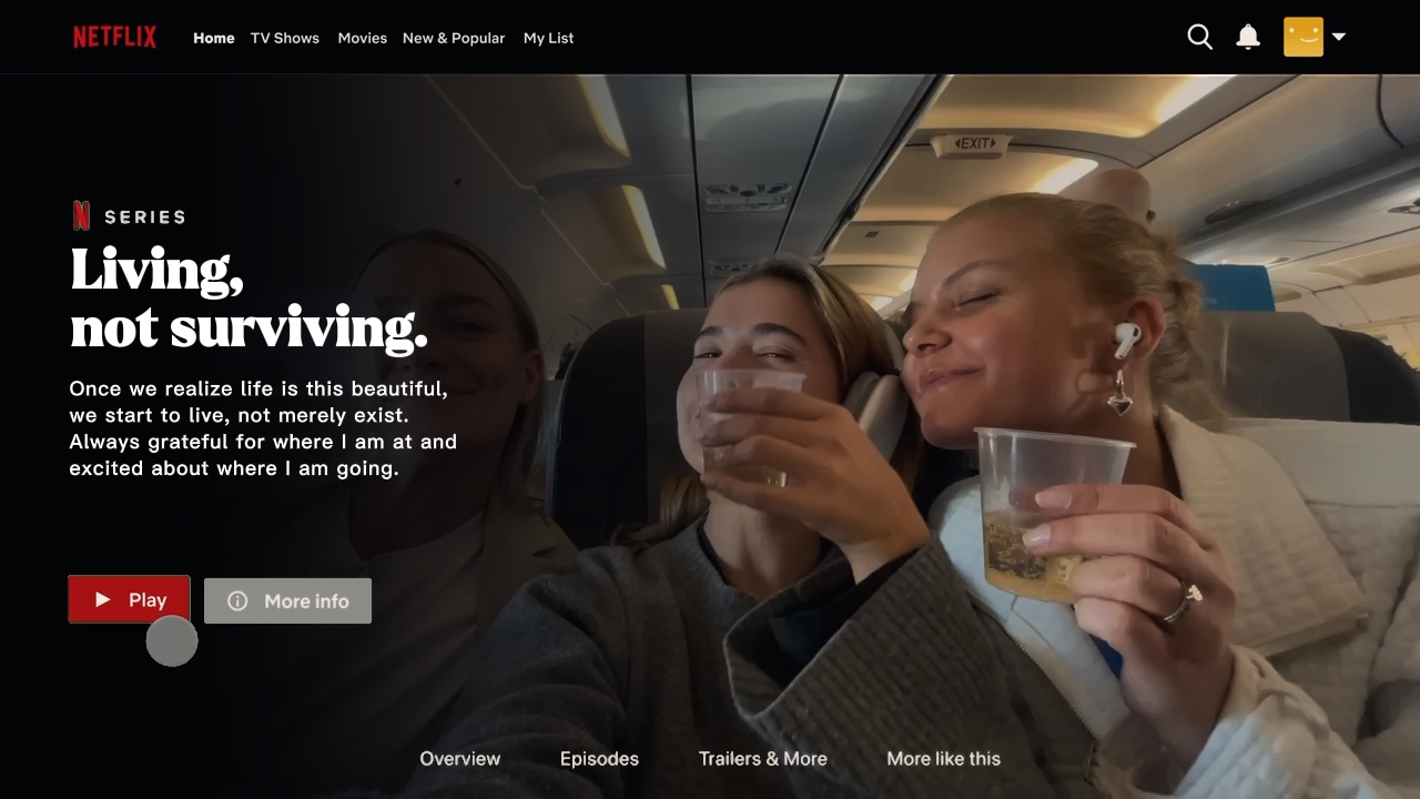Netflix interface 