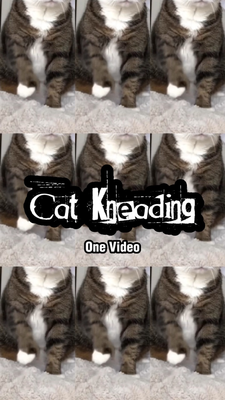 Cat Kneading 
