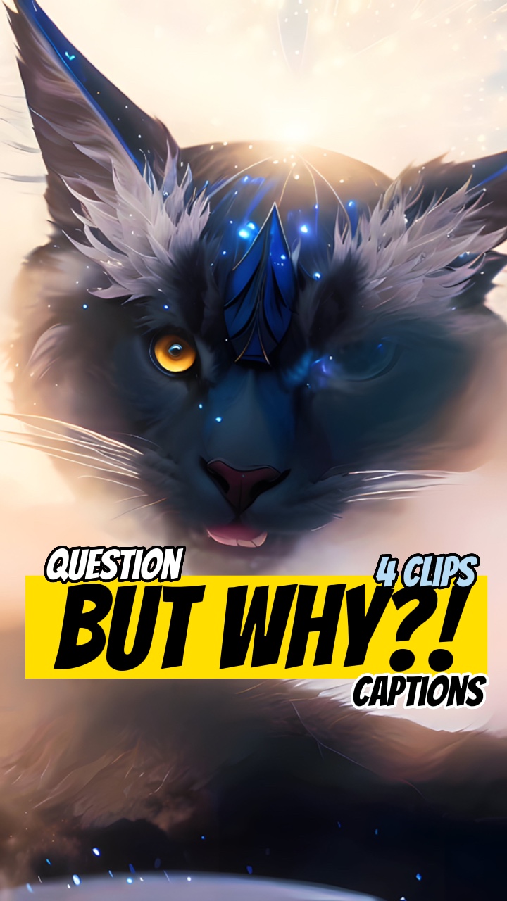 그런데 왜? !?