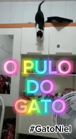 O Pulo do gato