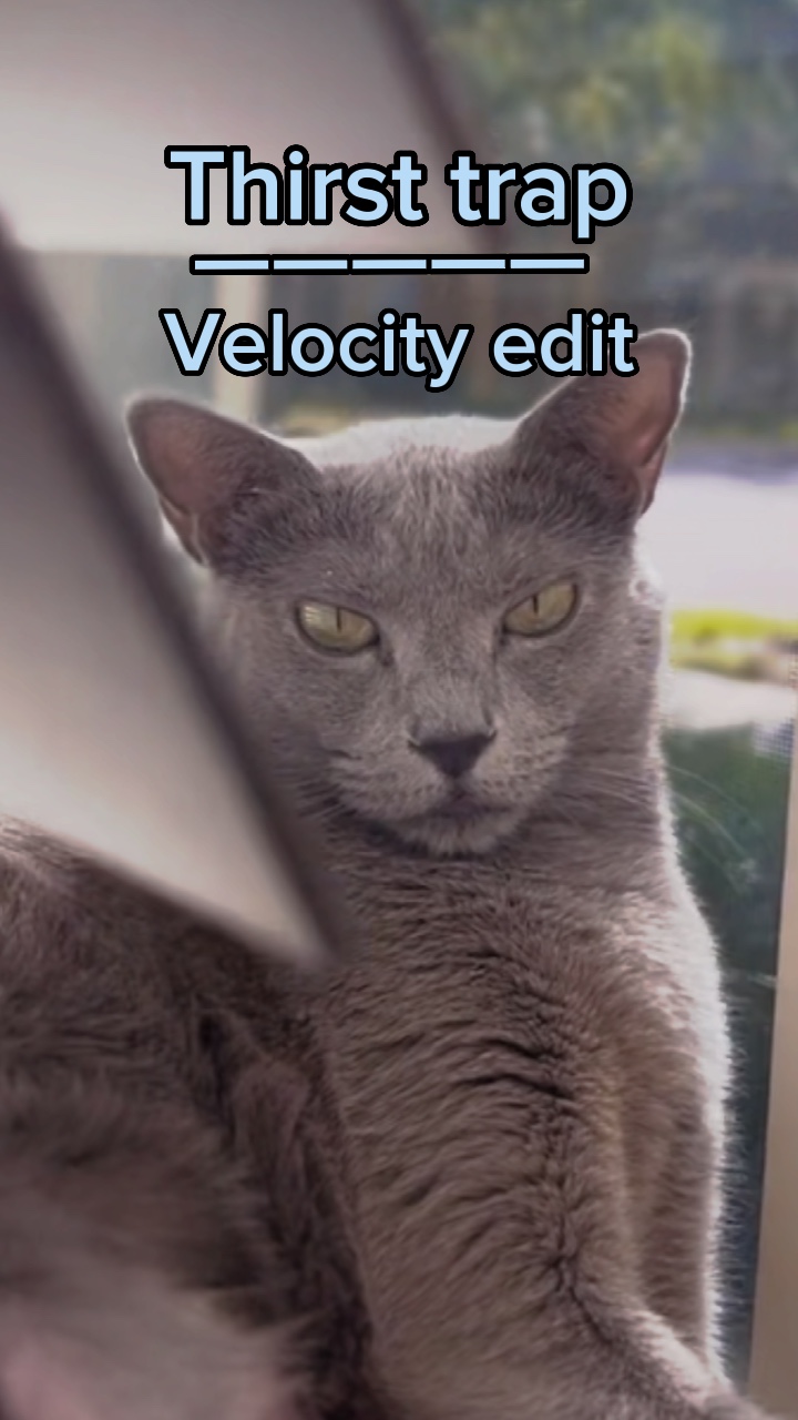 thirst trap velocity