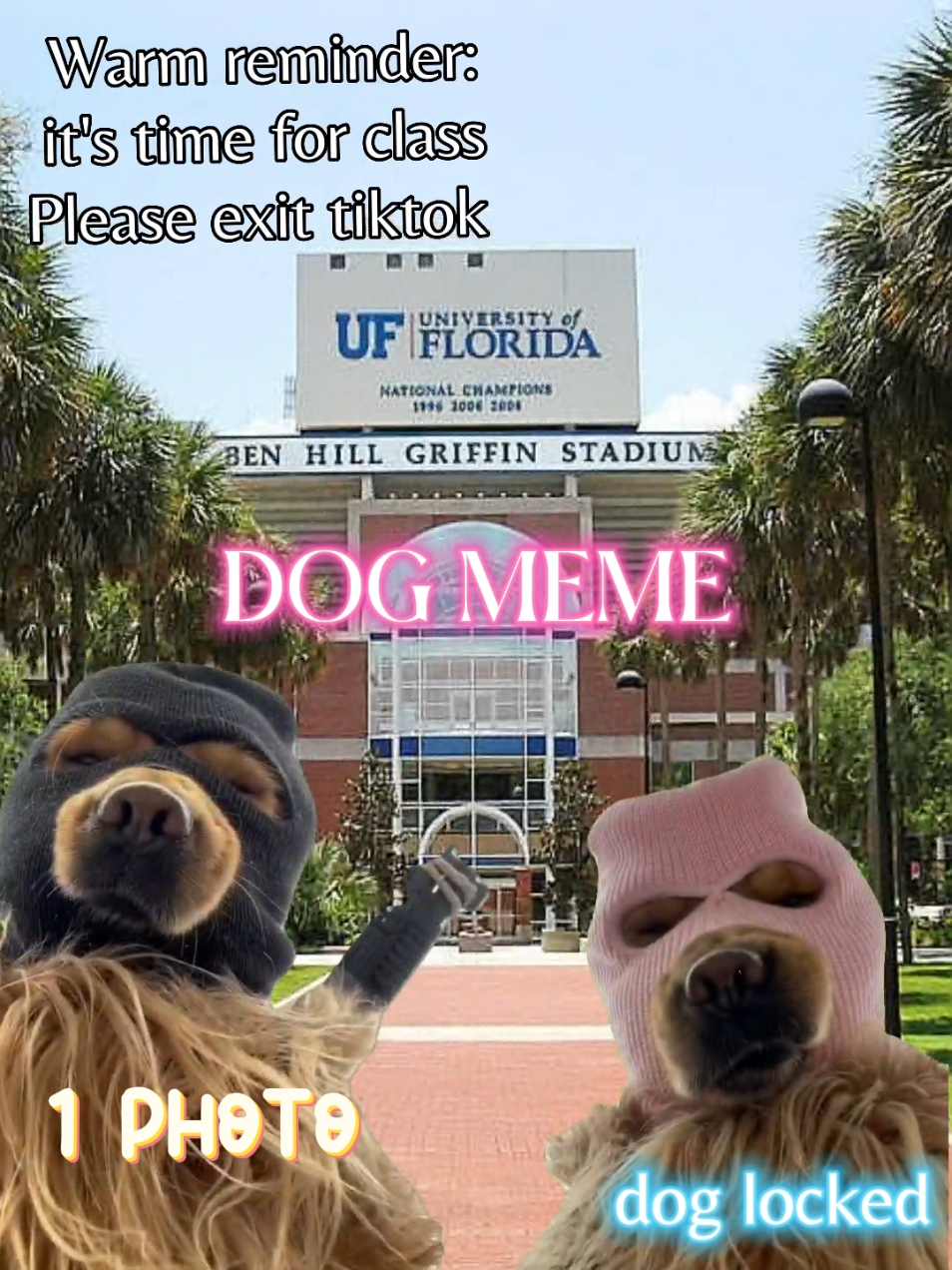 mème de chien