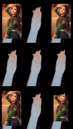 sua foto 