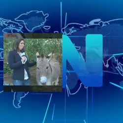 Trole seu amigo