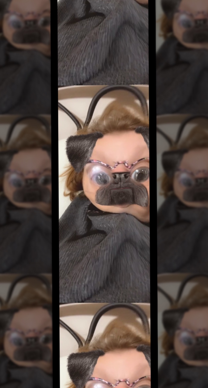 Cachorro 