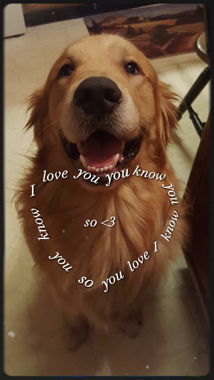 我爱你宠物 ❤️‍🩹